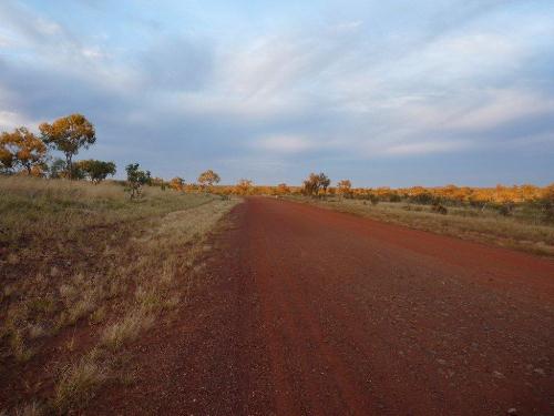 Morning on Tanami Road